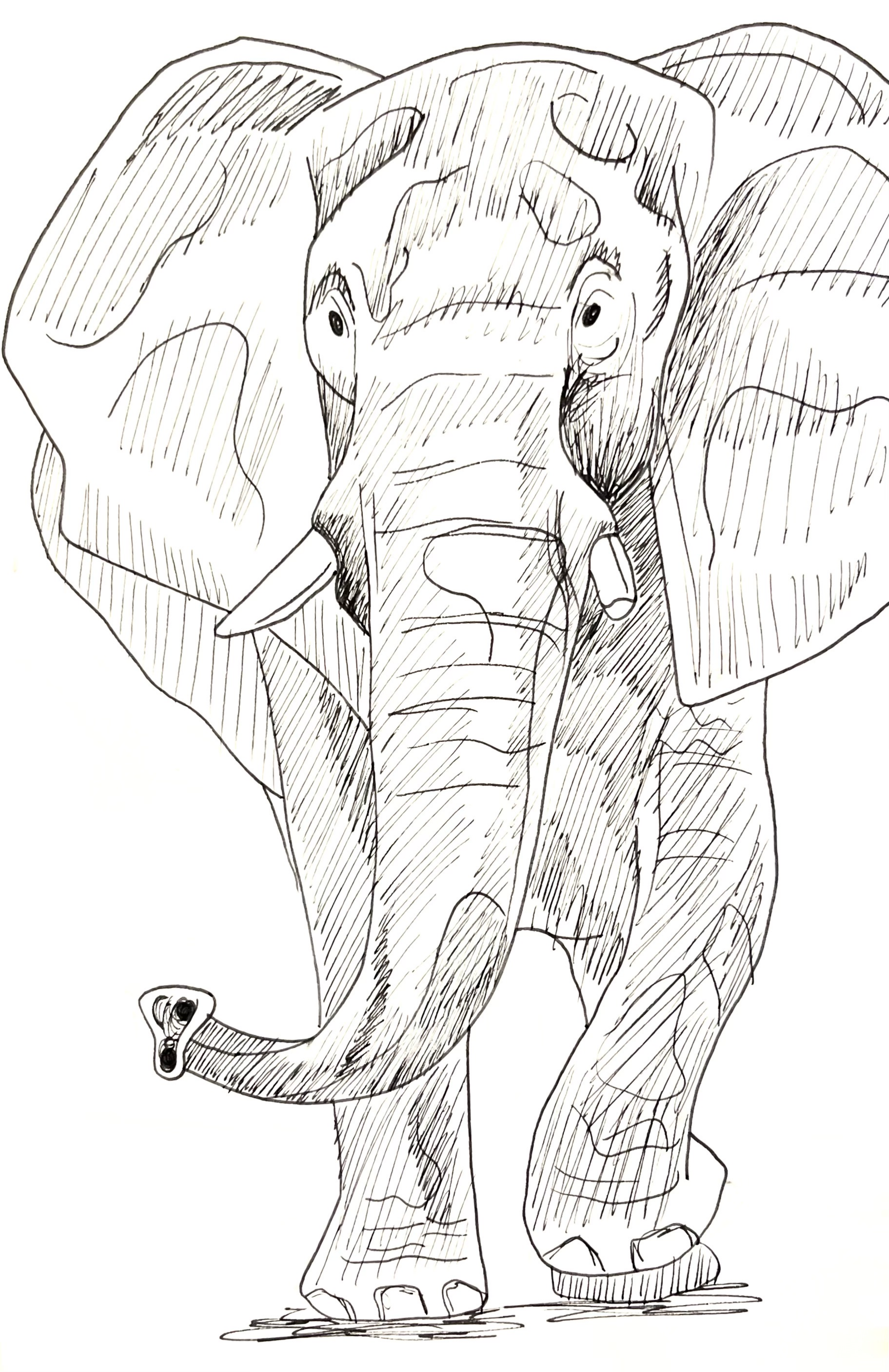 elephant